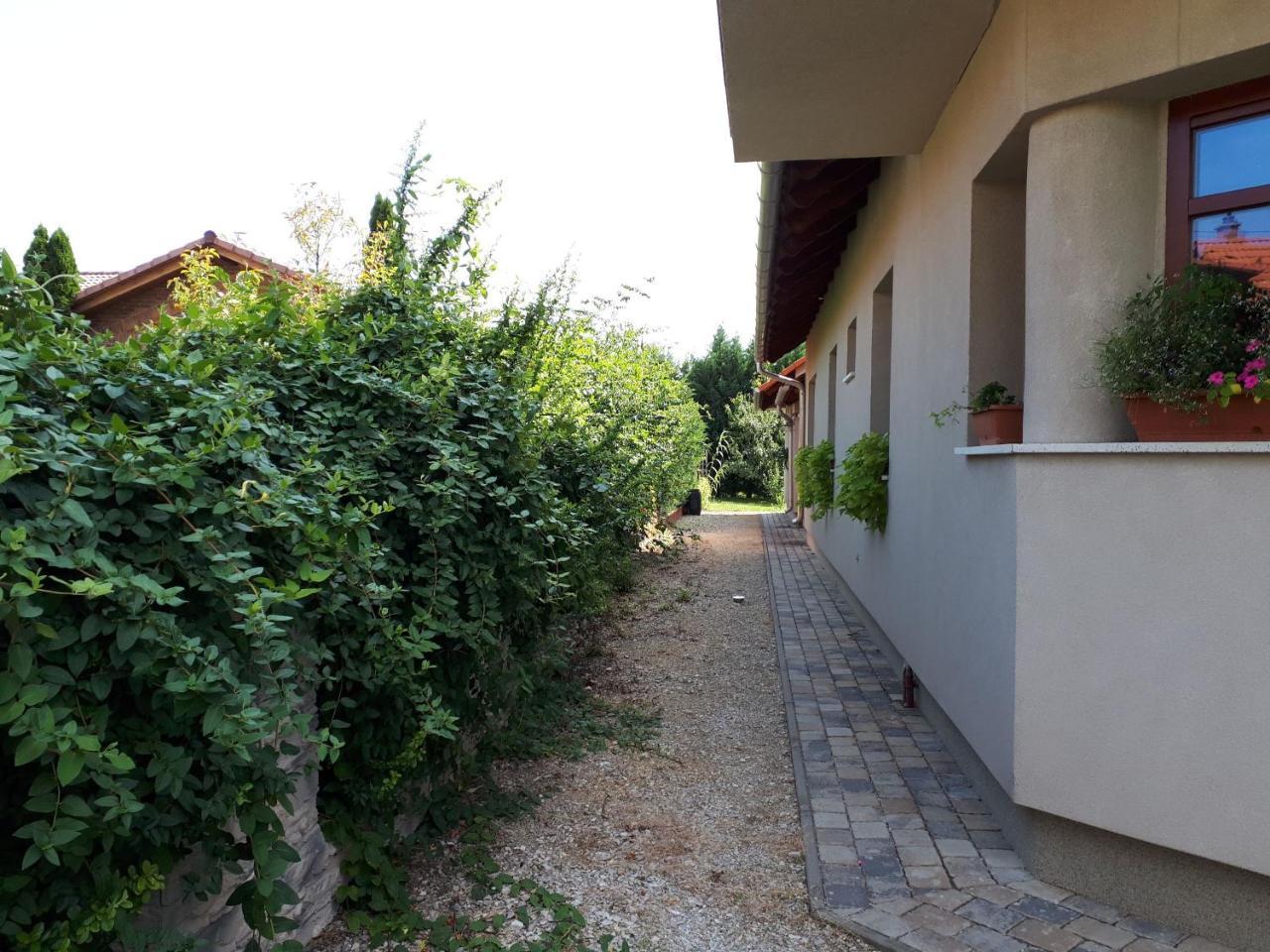 Kertvarosi Apartman Tiszaújváros エクステリア 写真