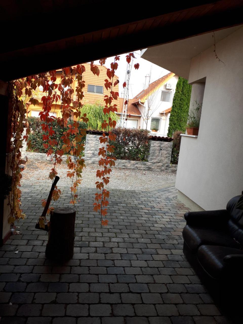 Kertvarosi Apartman Tiszaújváros エクステリア 写真