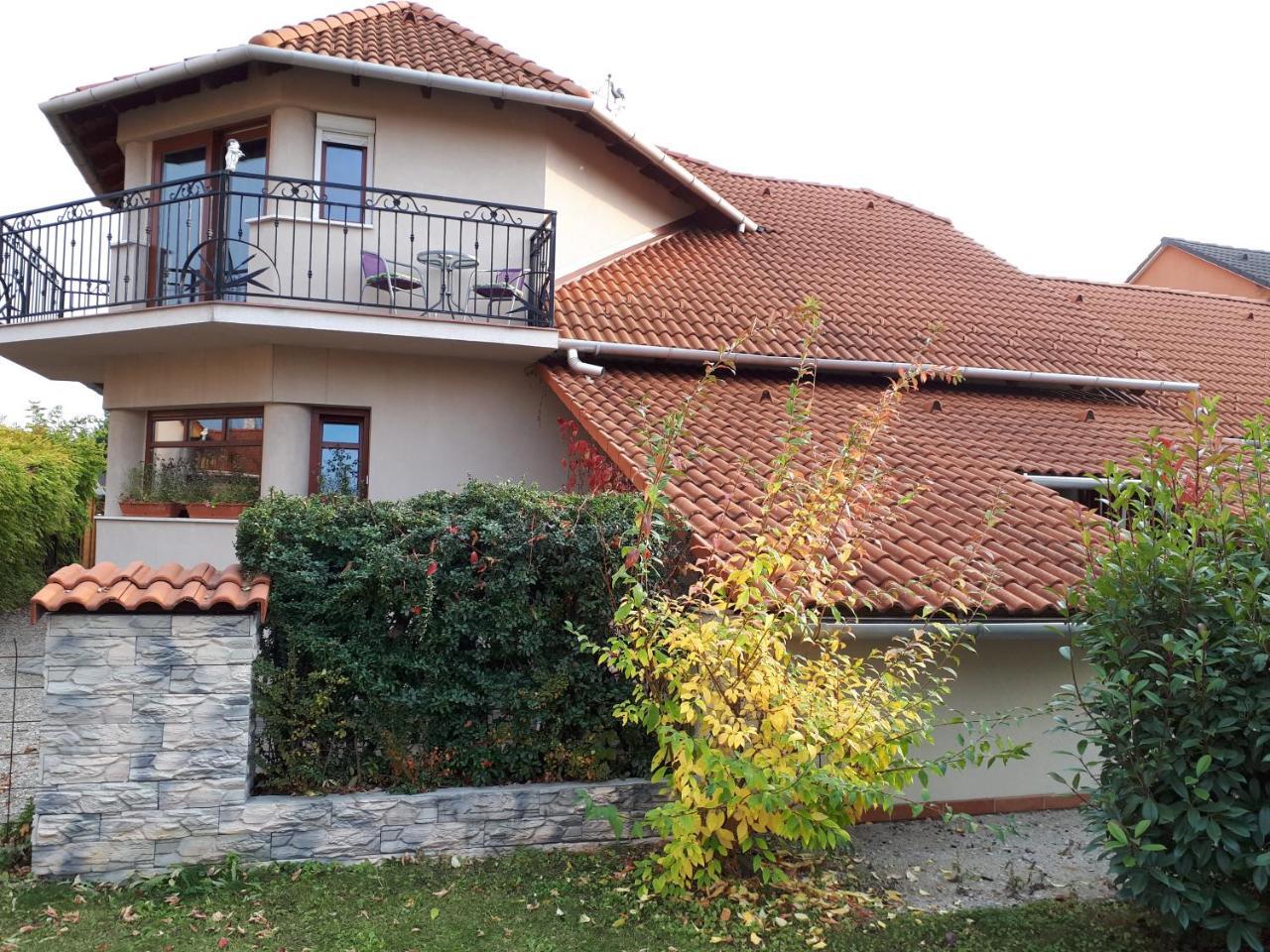 Kertvarosi Apartman Tiszaújváros エクステリア 写真